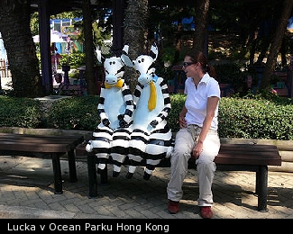 Lucka v Ocean Parku Hong Kong